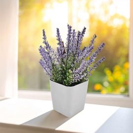 Bitki Yetiştirme Setleri