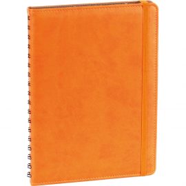 Gizli Spiralli Ajanda Kapağı